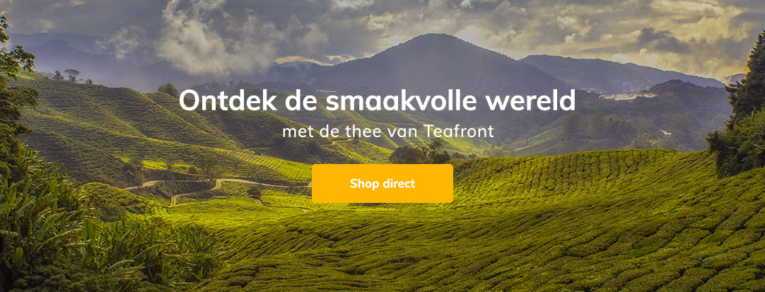 Ontdek alle smaken van de wereld - Teafront