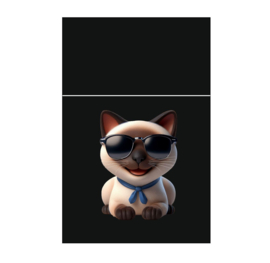 Pushbox 20st Softtouch Kat