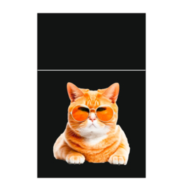 Pushbox 20st Softtouch Kat