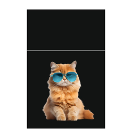 Pushbox 20st Softtouch Kat