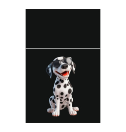 Pushbox 20st Softtouch Dalmatiër
