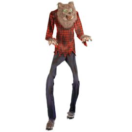 Wolfman ( binnenkort in assortiment)