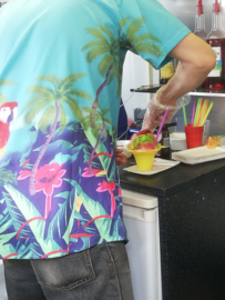 Tropical Shave Ice  ( Vraag offerte aan)