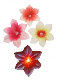 Bloemen assortie gekleurd+licht+clip