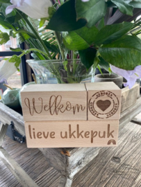 Houten blokken met tekst : "Welkom lieve ukkepuk"