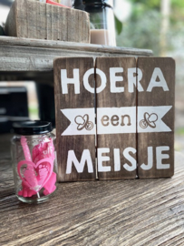 Tekstbordje Hoera een meisje + potje roze