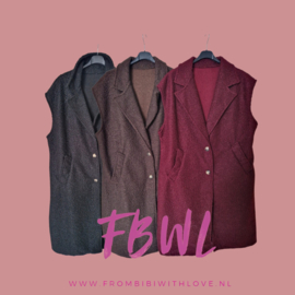 Lang Teddy gilet