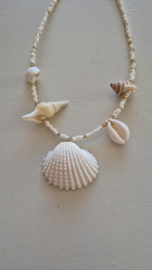 Isla Ibiza ketting beach shells