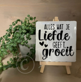 tegel: Alles wat je liefde geeft groeit