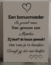 Een bonus/stief vader/moeder