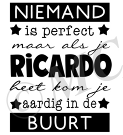 Niemand is perfect