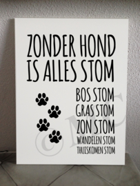 Zonder hond is alles stom