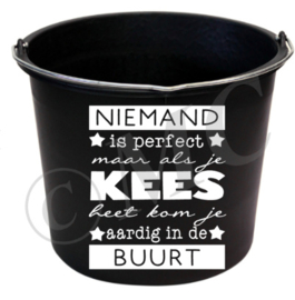 Niemand is perfect