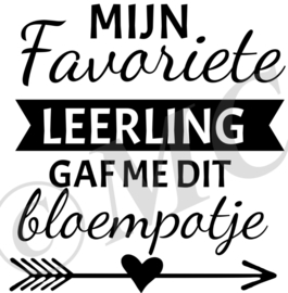 Mijn favoriete leerling