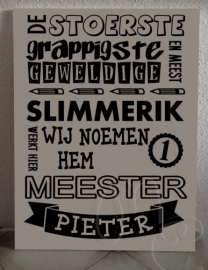 De stoerste grappigste en meest geweldige "meester"