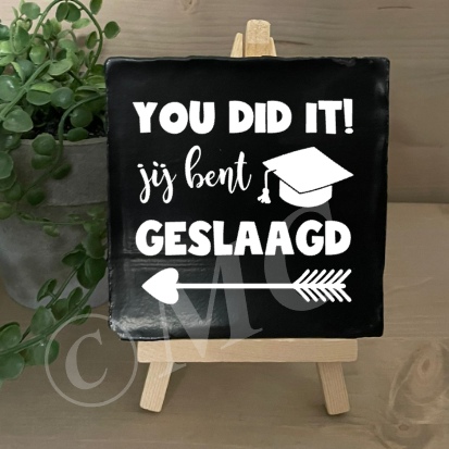 tegel:  You did it jij bent geslaagd