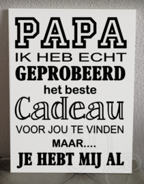 Papa Wij/Ik heb(ben) geprobeerd