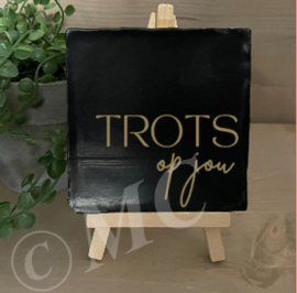 tegel:  Trots op jou