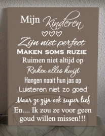 Mijn kinderen zijn niet perfect