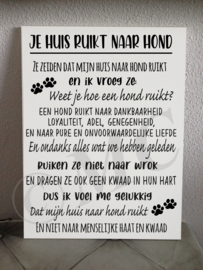 Je huis ruikt naar hond