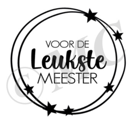 Voor de leukste meester