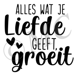 Alles wat je liefde geeft groeit