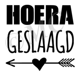 Hoera geslaagd