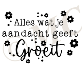 Alles wat je aandacht geeft groeit