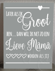 Later als ik groot ben .... mama