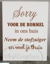 Sorry voor de rommel in ons huis