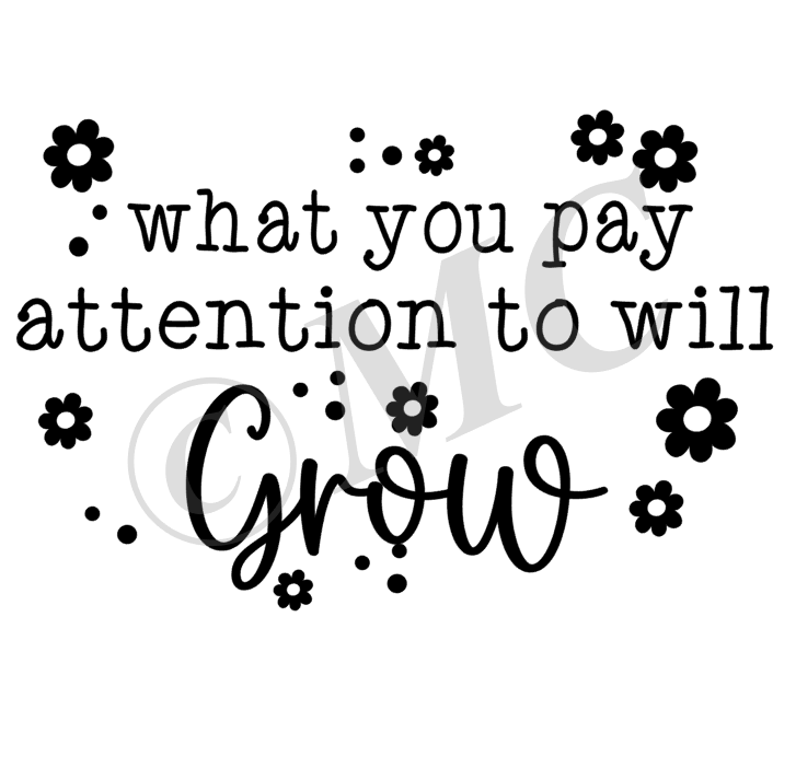 what you pay attention to will grow
