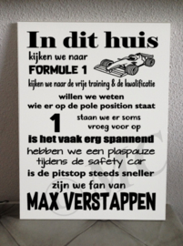 Formule 1 Max Verstappen