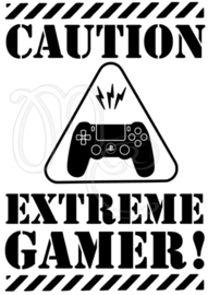 Extreme gamer playstation
