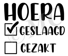 Hoera geslaagd gezakt