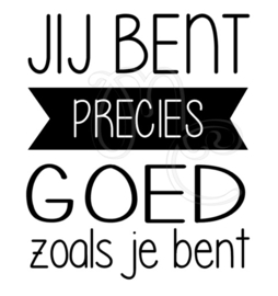 Jij bent precies goed zoals je bent