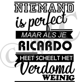 Sticker - Niemand is perfect (2)