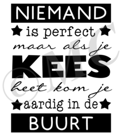 Niemand is perfect