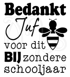 BIJzonder schooljaar