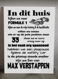 Formule 1 Max Verstappen