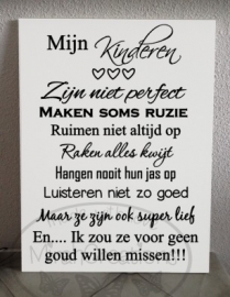 Mijn kinderen zijn niet perfect