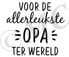 voor de allerleukste opa ter wereld