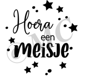 Hoera een meisje / jongen