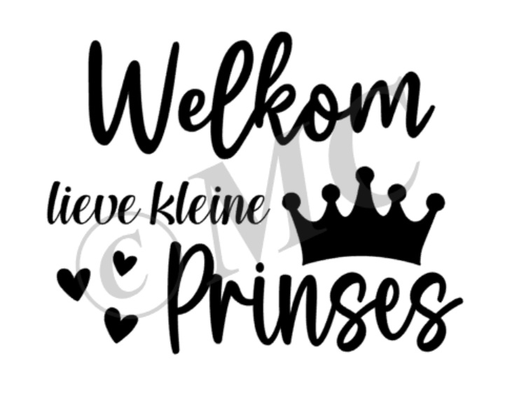 Welkom lieve kleine prinses