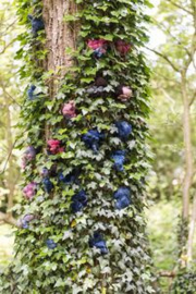 Ode aan Hedera