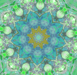 kaleidoscope 22