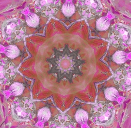 Mandala roze/rood  Dubbele kaart met enveloppe