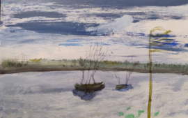 Friesche veen