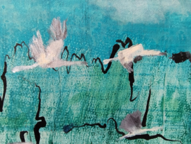 Vogels: Trektocht