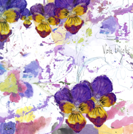 Driekleurig viooltje Dubbele kaart met enveloppe