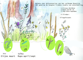 Natuurillustratie's